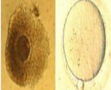 δ�����������' /></a></div>
<div class=